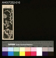 藏品(じをり型學習博物館：美しいさんご)的圖片